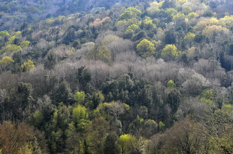 Valle del Farma e Stagno della Troscia: luoghi meravigliosi!